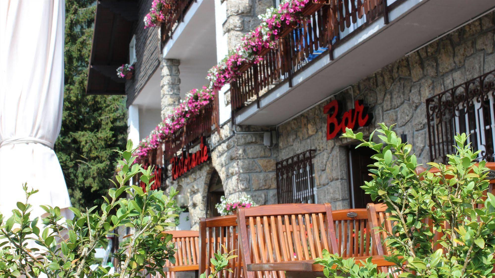 Hotel Des Alpes Кастьоне-делла-Презолана Экстерьер фото