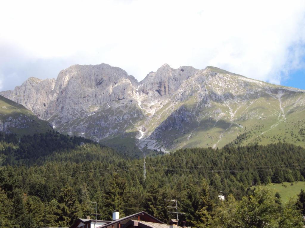Hotel Des Alpes Кастьоне-делла-Презолана Экстерьер фото